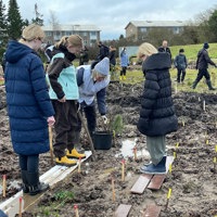 IMG 2803 En Spandfuld Af Samme Træart Plantes