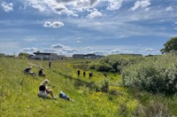 IMG 7680 Bioblitz I Tirsbæk Bakker 2