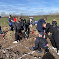 IMG 5144 Masser Af Aktivitet