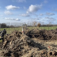 IMG 5038 Halm Fordeles