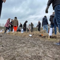 IMG 5345 Frøperspektiv