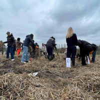 IMG 5347 Der Drysses Halm Ud