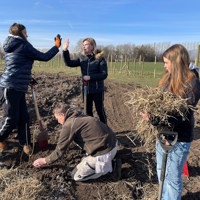 IMG 5110 De Første Planter Er Plantet