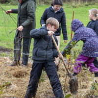 Mg 5270 Vi Planter Træer I Regnvejr Bakkeskolen 2023