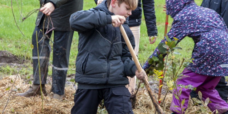 Mg 5270 Vi Planter Træer I Regnvejr Bakkeskolen 2023