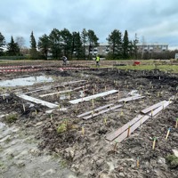 IMG 2783 Miyawakifeltet Med Brædder