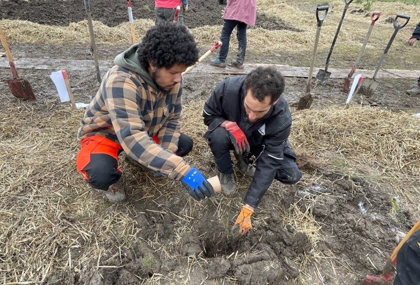 Der drysses gammelskovbund i plantehullet.