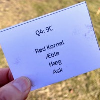 IMG 5127 (1) Plantekort