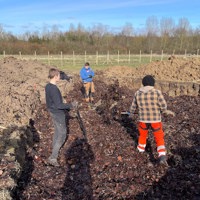 IMG 5070 Bladkompost Fordeles