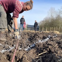 IMG 5388 Der Tegnes Op Til Sidste Skov