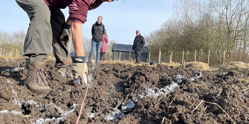 IMG 5388 Der Tegnes Op Til Sidste Skov