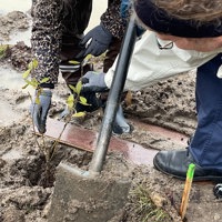 IMG 2812 Nærbillede Af Plantehul