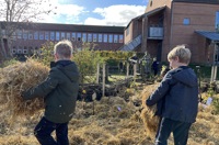 4 (6) Sorø Plantedag