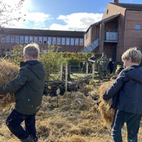 4 (6) Sorø Plantedag