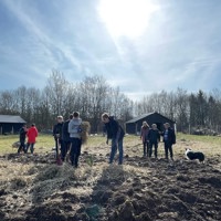 IMG 5153 Der Dækkes Med Halm