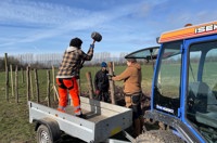 IMG 5149 Stolper Bankes I Jorden