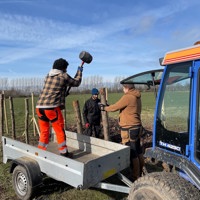 IMG 5149 Stolper Bankes I Jorden